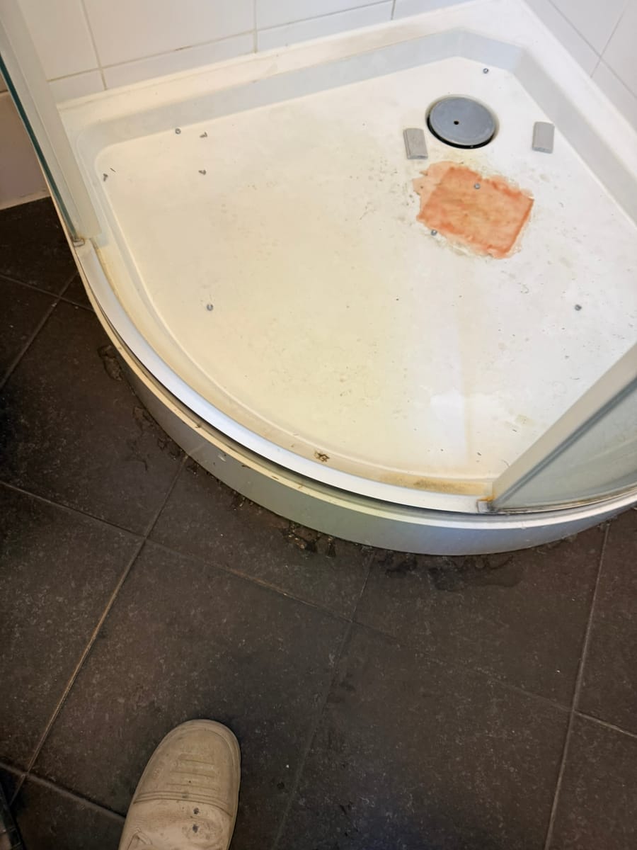 Vervanging douchebak en scherm in Zoetermeer — projectfoto 1